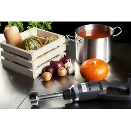 Royal Catering RCSM-350-250 Stabmixer