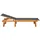 furnicato Sonnenliege 200 x 66 x 0 cm Braun