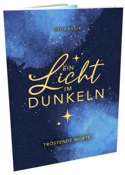 Ein Licht Im Dunkeln - Gisela Rieger  Taschenbuch