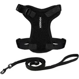 Best Pet Supplies Voyager Step-in Lock Katzengeschirr und reflektierende Katzenleine mit Neoprengriff by Best Pet Supplies - Unterstützt kleine, mittelgroße und große Katzenrassen, Schwarz, size XS - 1,5 m