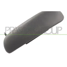 PRASCO Türgriff fd0508001