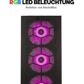 dcl24.de Gaming-PC Ryzen 7 8700G 2023 32 GB RAM 1 TB SSD LED Windows 11 Pro