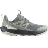 Salomon Herren Multifunktionsschuhe SHOES ELIXIR ACTIV GTX Sedsa/Wrought Iro, Größe 44 2⁄3 in Grau Sedona Sage/Wrought Iron/Nine Iron