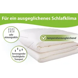 franknatur Ganzjahresdecke 135x200 Bettdecke Lyocell Bio Baumwolle Mono Decke Ganzjahr