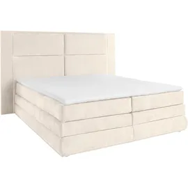 Collection AB Copenhagen 231 x 215 cm Beige