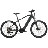 ADORE E-Bike, (48 cm)