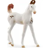 Schleich Horse Club Marwari Fohlen
