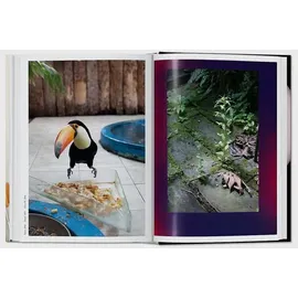 Taschen Wolfgang Tillmans. four books. 40th Ed.