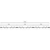 Scharnberg & Hasenbein Scharnberger+Hasenbein Ersatzstrang 4m 58169