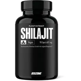 Big-Zone Shilajit Kapseln 90 St.
