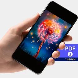 Digitale Bildmappe - Fly away by night