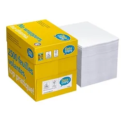 Data copy Kopierpapier Everyday Printing DIN A4 80 g/qm 2.500 Blatt Maxi-Box