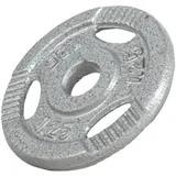 GORILLA SPORTS Hantelscheiben Einzeln/Set, Tri-Grip, 30/50mm, Gusseisen, Silber/Schwarz, Hanteln Set, Gewichtsscheiben, Gewichte von 0,5kg bis 30kg, für Krafttraining silberfarben 1,25 kg