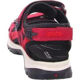 ECCO 	Offroad Damen brick chili red 41