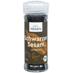 Schwarzer Sesam BIO