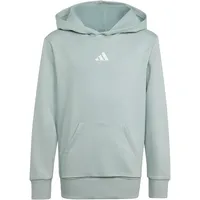 adidas Hoodie Grey 152