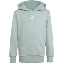 adidas Hoodie Grey 152