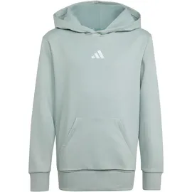 adidas Hoodie Grey 152