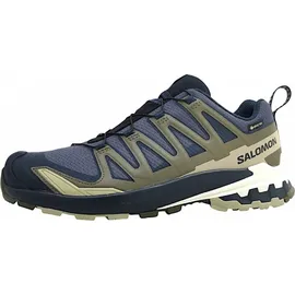 Salomon Herren Xa Pro 3D V9 GTX Schuhe (Größe 43