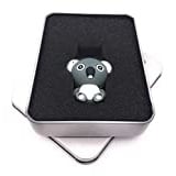 Onwomania Koala Bär niedliches Tier Grau USB Stick in Alu Geschenkbox 64 GB USB 2.0