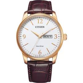 Citizen Leder 42 mm BM8553-16AE