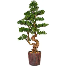 Home Affaire Kunstbonsai HOME AFFAIRE "Perreux", grün, B:44cm H:125cm, Kunststoff, Kunstpflanzen, im Magnesiatopf