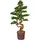 Home Affaire Kunstbonsai HOME AFFAIRE "Perreux", grün, B:44cm H:125cm, Kunststoff, Kunstpflanzen, im Magnesiatopf