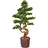OTTO home Kunstbonsai OTTO HOME "Perreux", grün, B:44cm H:125cm, Kunststoff, Kunstpflanzen, im Magnesiatopf