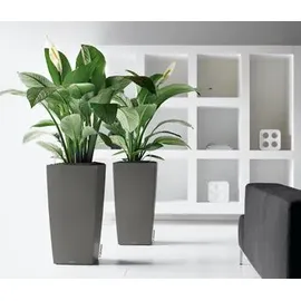 LECHUZA Cubico 50 Komplettset 50 x 50 x 95 cm anthrazit metallic