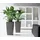 LECHUZA Cubico 50 Komplettset 50 x 50 x 95 cm anthrazit metallic