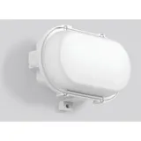RZB LED-Ovalleuchte Kunststoff 501048,009 IP65 990 Lumen grau