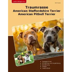 Traumrasse American Staffordshire Terrier