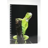 Adina Premium Collegeblock "Leguan" A4 dotted (gepunktet) 80 Blatt