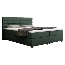 panda möbel Boxspringbett 180x200, mit Bettkasten, Grün, Matratze und Topper, Doppelbett, REVE, Panda Möbel - dunkelgrün