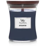 WoodWick Antiquarium Duftkerze 275 g