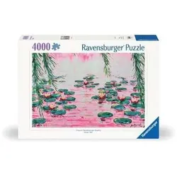 Pink Water Lilies