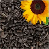 Lyra Pet® | 25 kg Sonnenblumenkerne Schwarz | Vogelfutter für das Ganze Jahr | Premium Wildvogelfutter | Idealer Energiespender für Sommer und Winter | Ölhaltiges Vogelstreufutter für Wildvögel