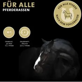 Peticare Wurm-Mix Pulver für Pferde 200 g