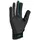 Leki Alpino Guide Lite Schwarz/Blau 6