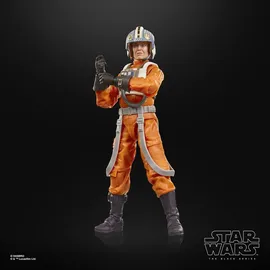 Hasbro Star Wars The Black Series Colonel Ward, The Mandalorian & Grogu Action-Figur 15 cm