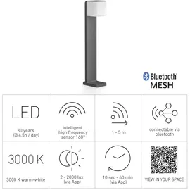 Steinel GL 80 SC Anthrazit