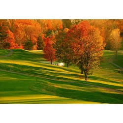 Fototapete PAPERMOON "Herbst Feld", bunt, B:4,50m L:2,80m, Vlies, Tapeten