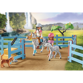 Playmobil Horses of Waterfall Ranch