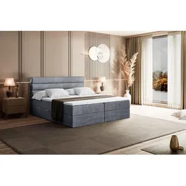altdecor Boxbett, Grau Samt
