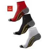 Chiemsee Wandersocken 3-Paar Bunt 43-46