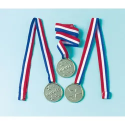 Siegerehrung Medaillen Night Of The Champions Silber