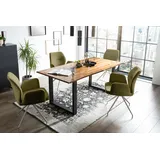 SalesFever Tischgruppe für gemütliche Familienabende", grün Gestell Schwarz/Silber, Tisch cognac | 370957