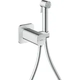 Hansgrohe AXOR Bidette Duschkopf 1 Strahlart softsquare Chrom 29243000