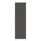 vidaXL Plissee 60 x 200 cm schwarz