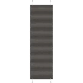 vidaXL Plissee 60 x 200 cm schwarz